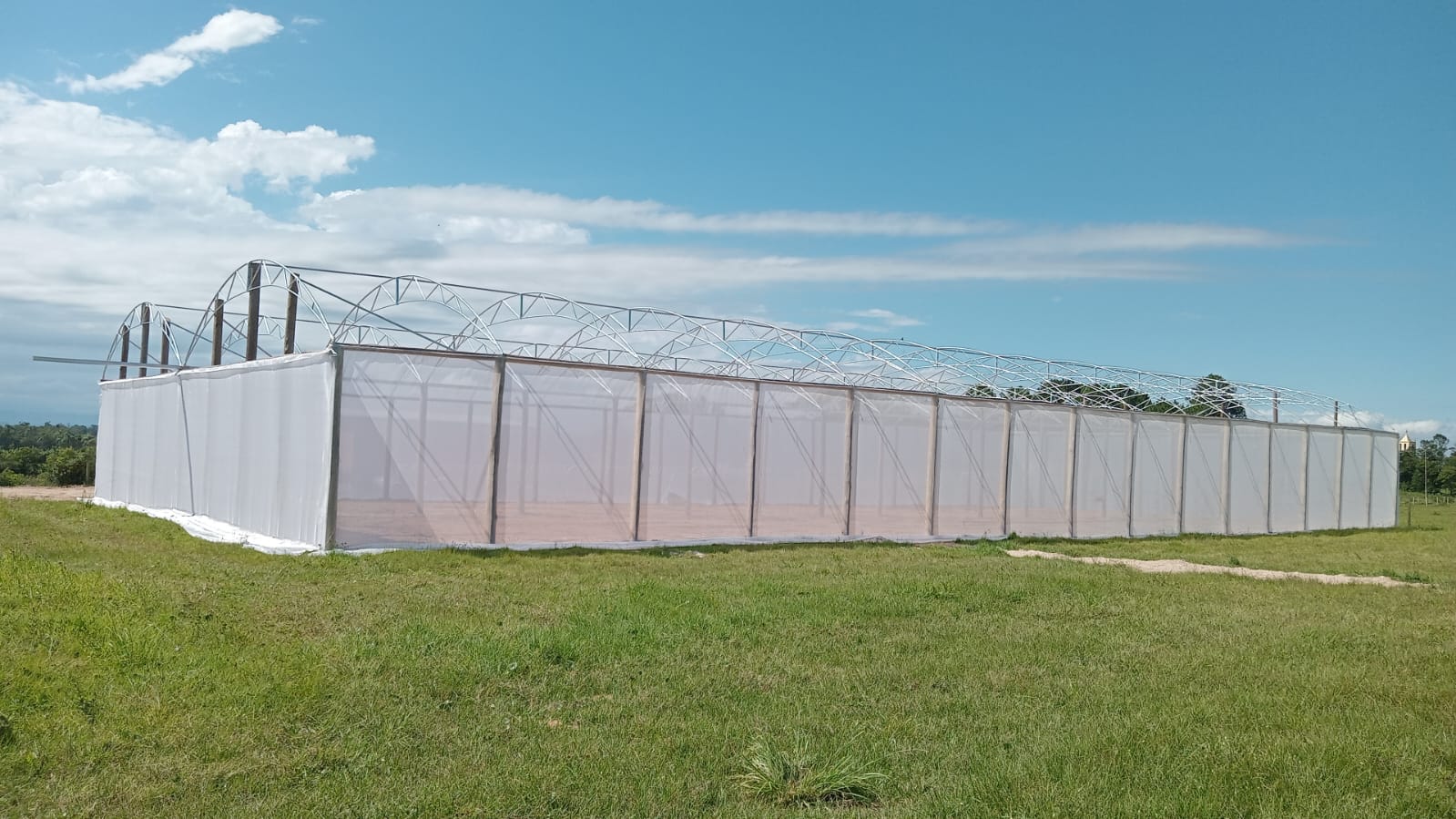 b379796e-be79-49e4-9713-80715a5d595c